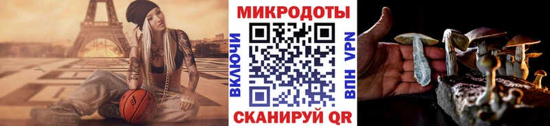 купить  цена  Менделеевск  Галлюциногенные грибы мицелий 