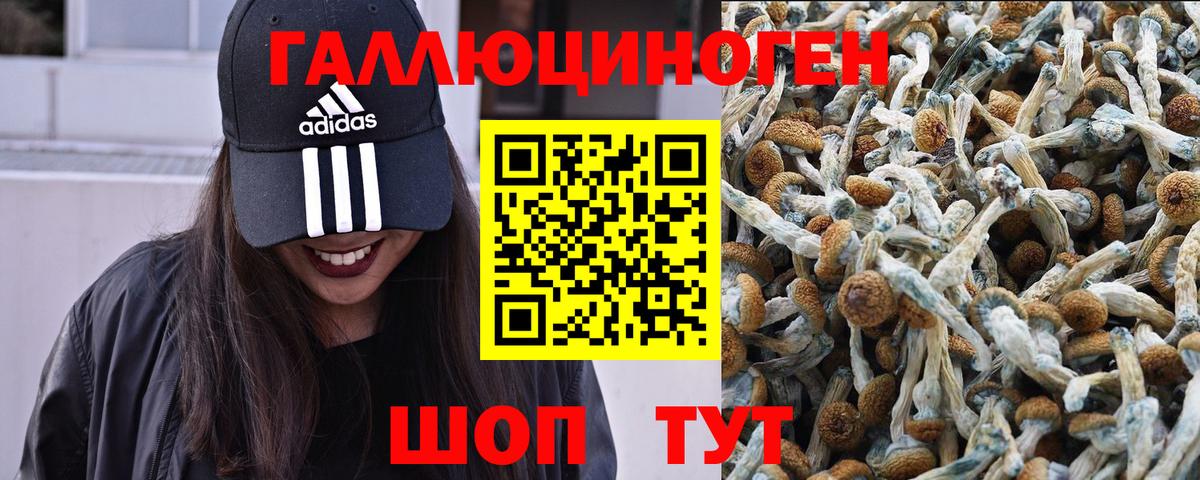Галлюциногенные грибы Cubensis Менделеевск